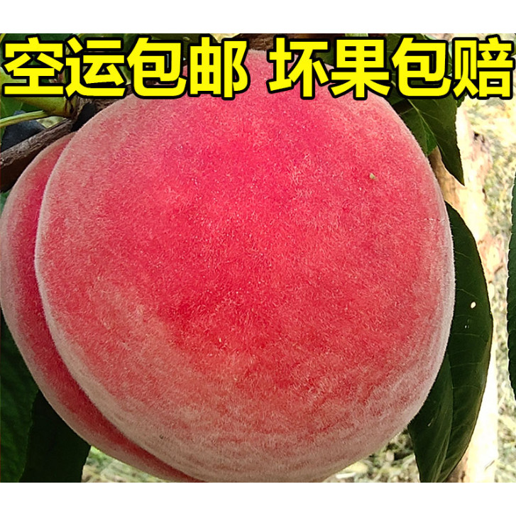 顺丰正宗北京平谷大桃水