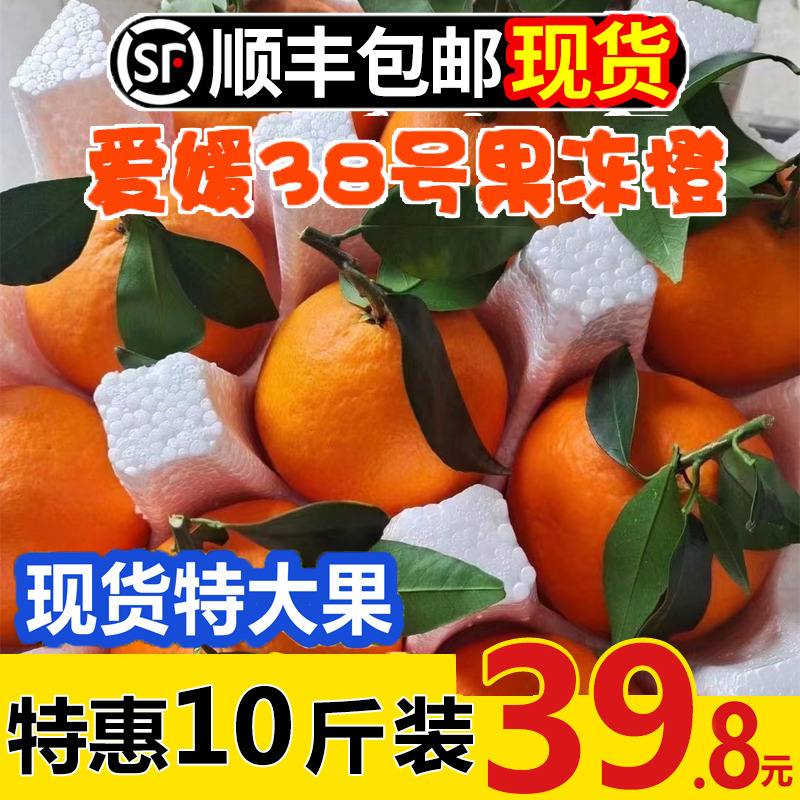 四川爱媛38号果冻橙手剥橙子水果新鲜柑橘子当季10斤甜橙现摘整箱