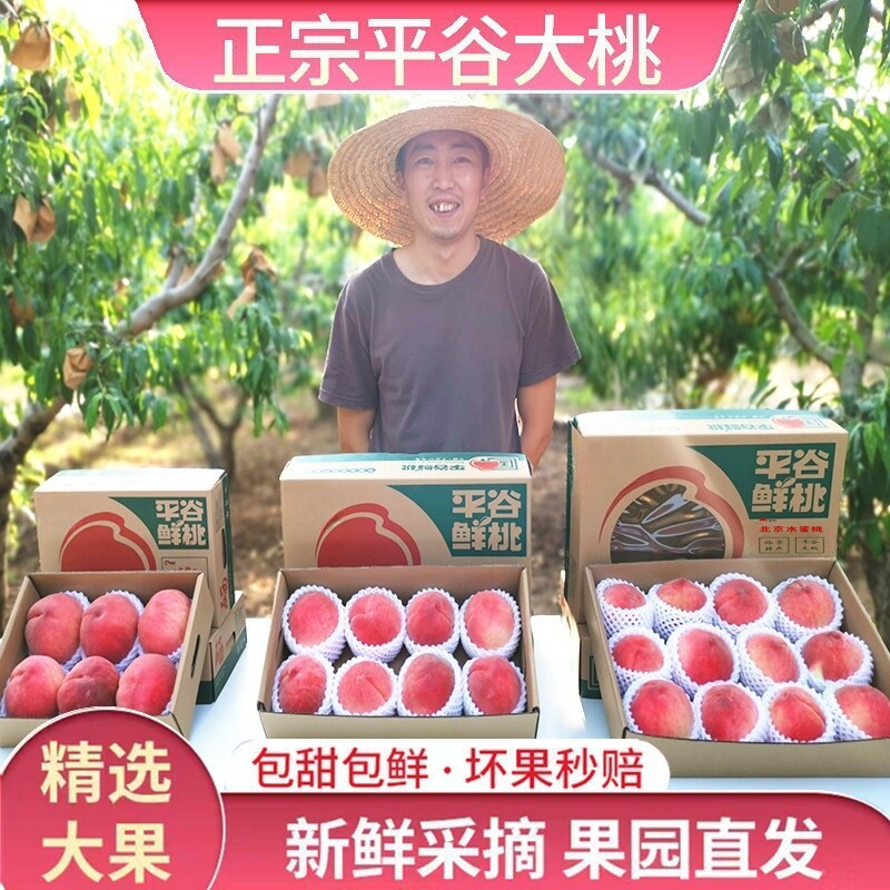 正宗平谷大桃北京水蜜桃