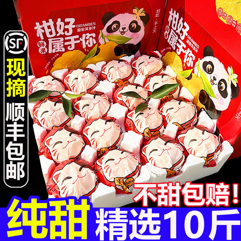 顺丰礼盒正宗四川春见耙耙柑10斤当季现摘特级粑粑干丑桔子蜜橘甜