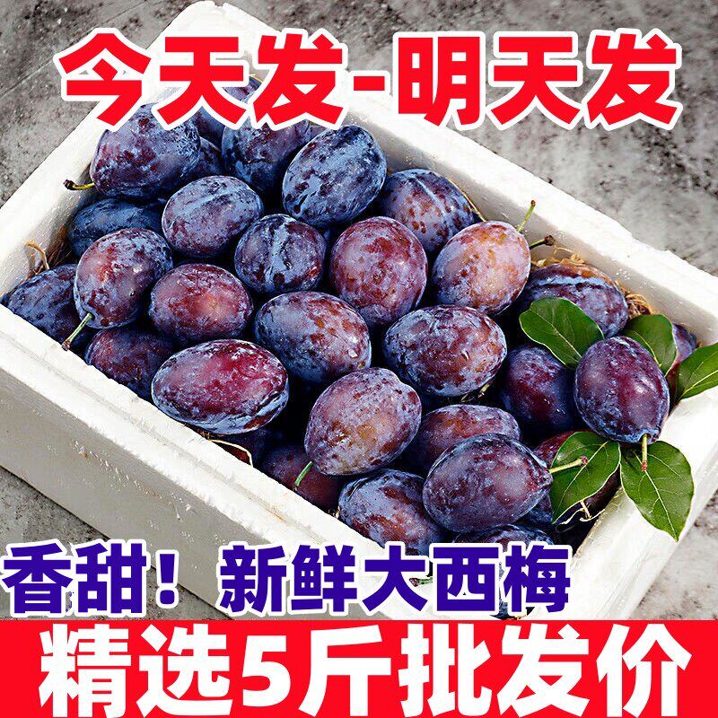 正宗新疆甜西梅5斤当季新
