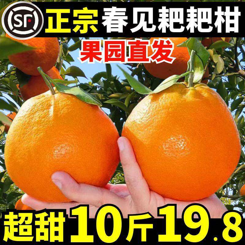 正宗四川春见耙耙柑新鲜10斤粑粑柑丑桔蜜橘当季水果整箱顺丰礼盒