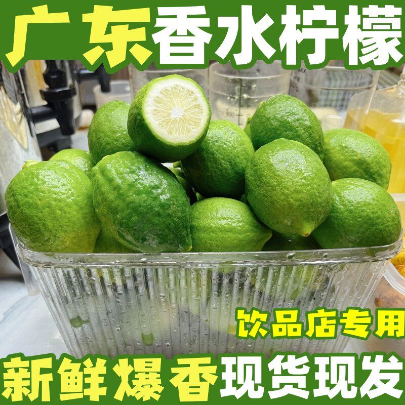 正宗广东香水柠檬奶茶店专用新鲜无籽爆香多汁青柠檬商用顺丰包邮