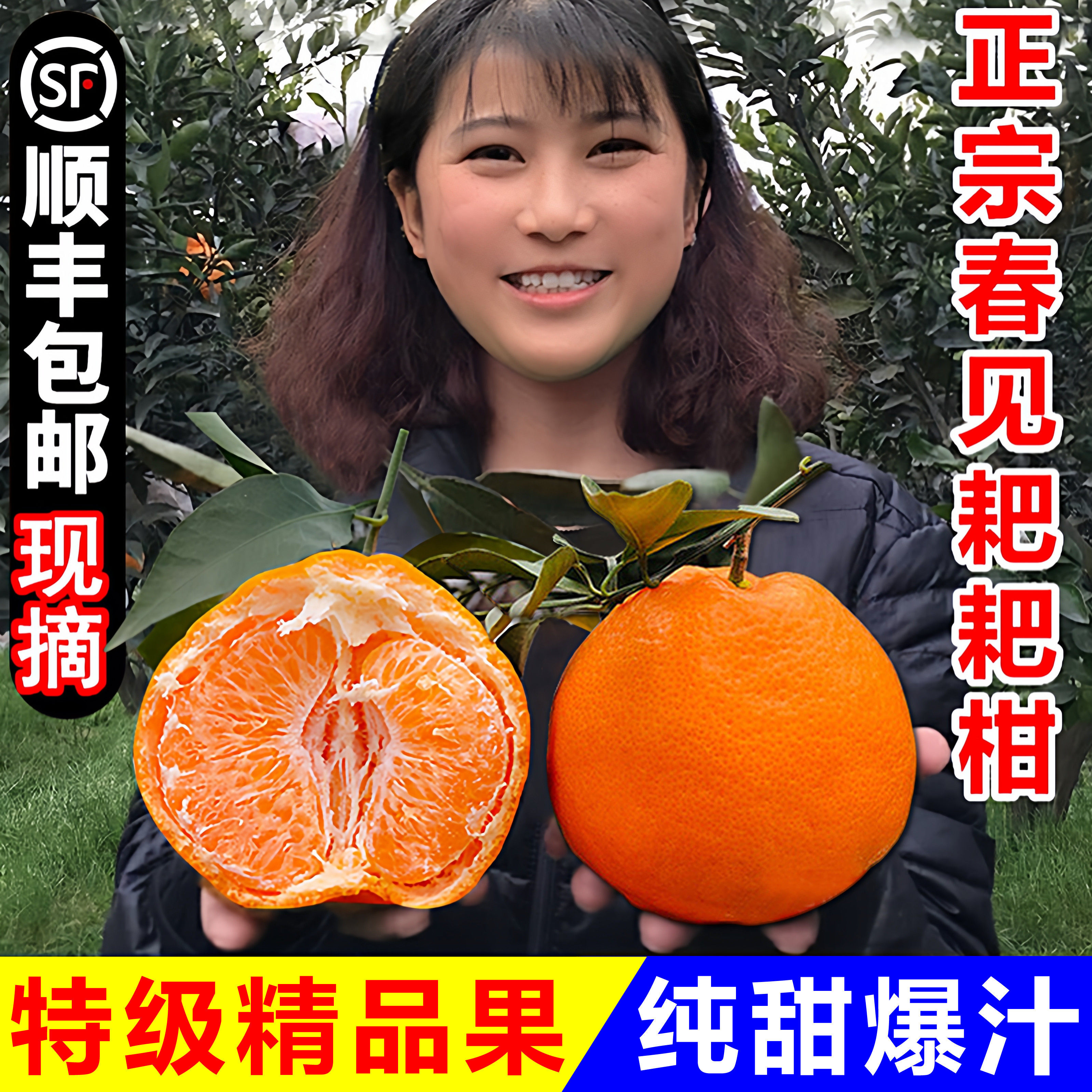 正宗四川春见耙耙柑粑粑柑10斤甜丑杷杷柑当季新鲜水果橘桔子现摘