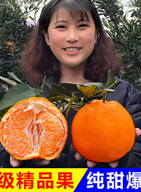 正宗四川春见耙耙柑粑粑柑10斤甜丑杷杷柑当季新鲜水果橘桔子现摘