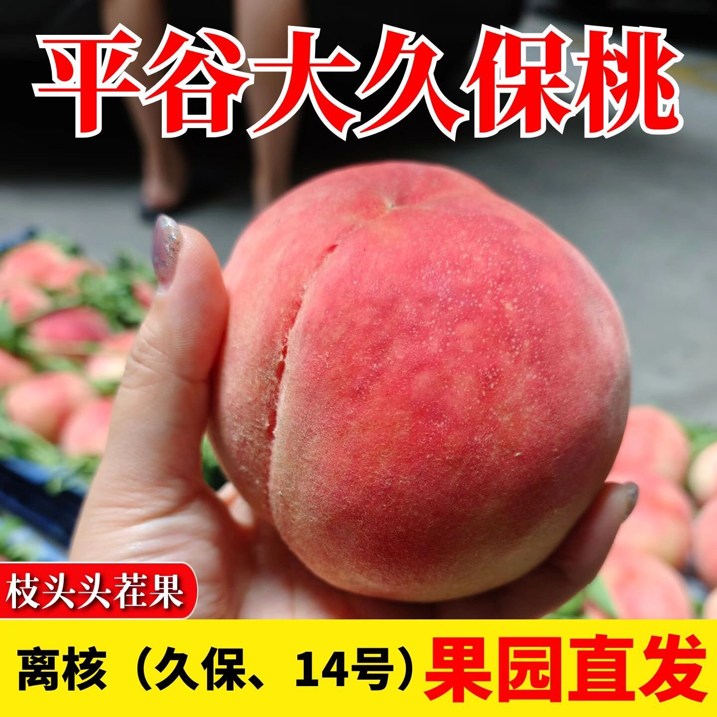 北京平谷大桃子当季水果