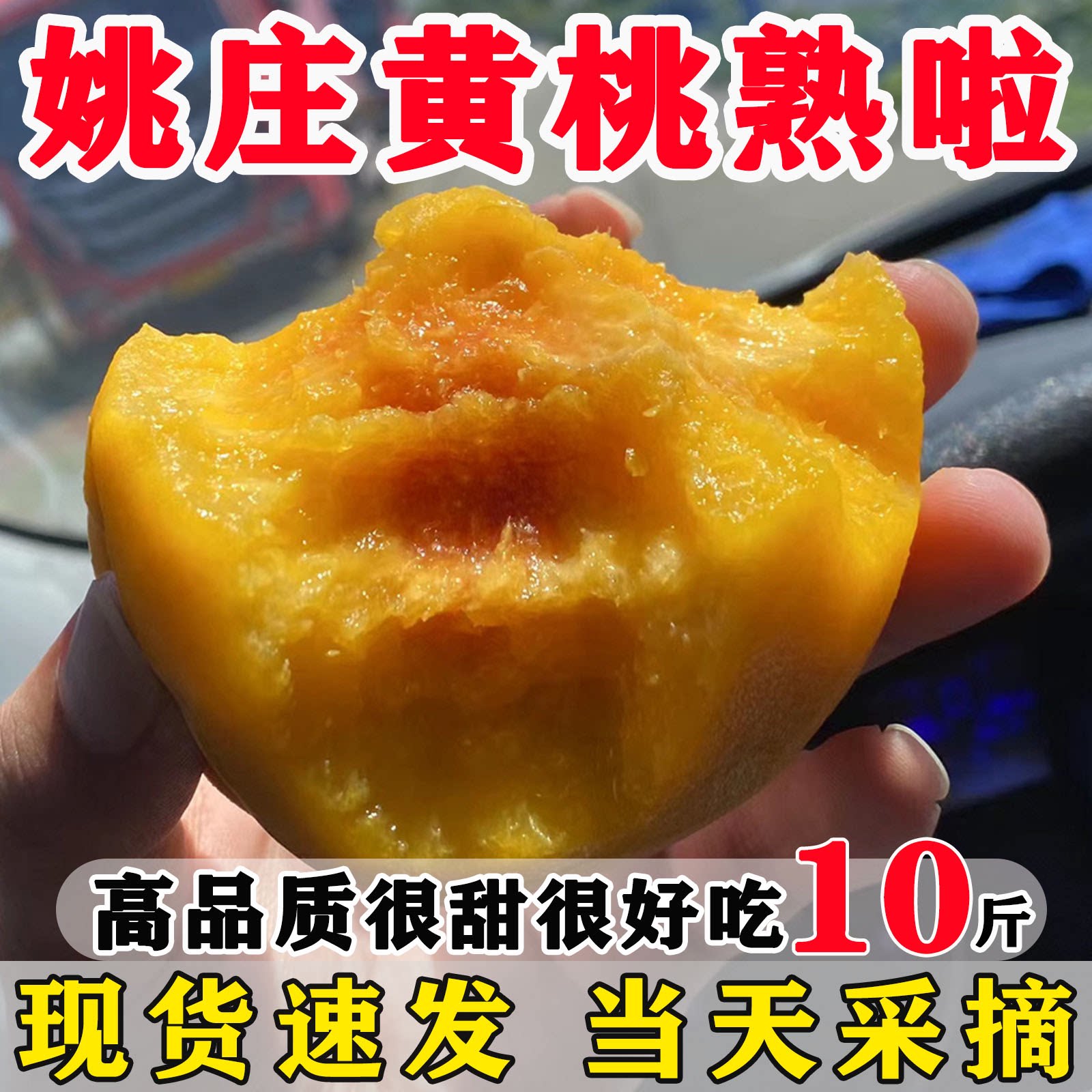 正宗嘉善姚庄锦绣黄桃子