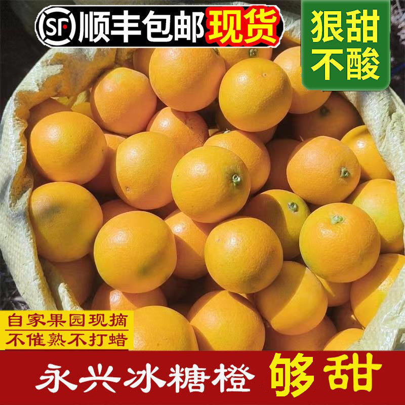 永兴冰糖橙 正宗湖南郴州橙子当季甜橙新鲜水果9斤包邮10整箱麻阳