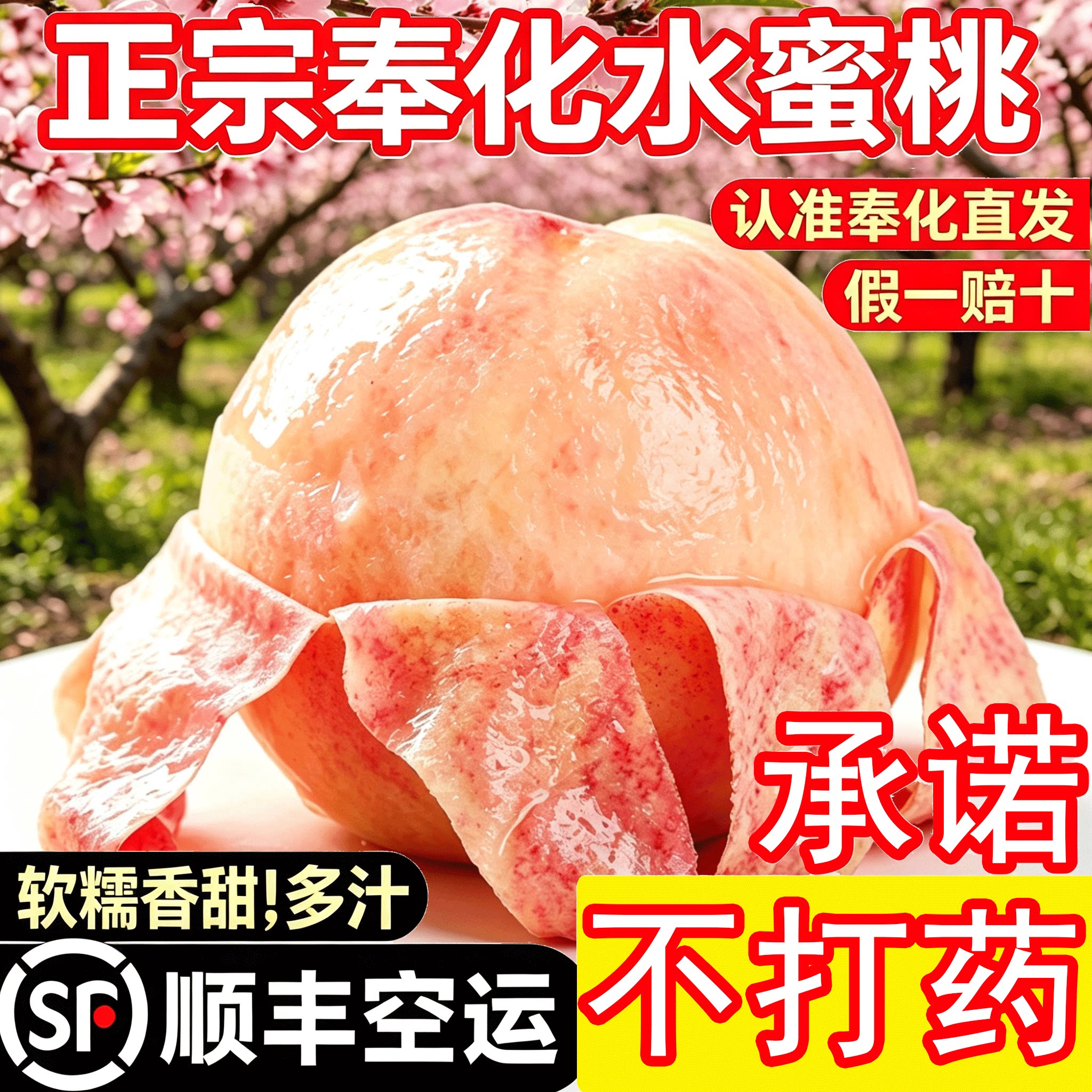 【奉化水蜜桃】正宗宁波