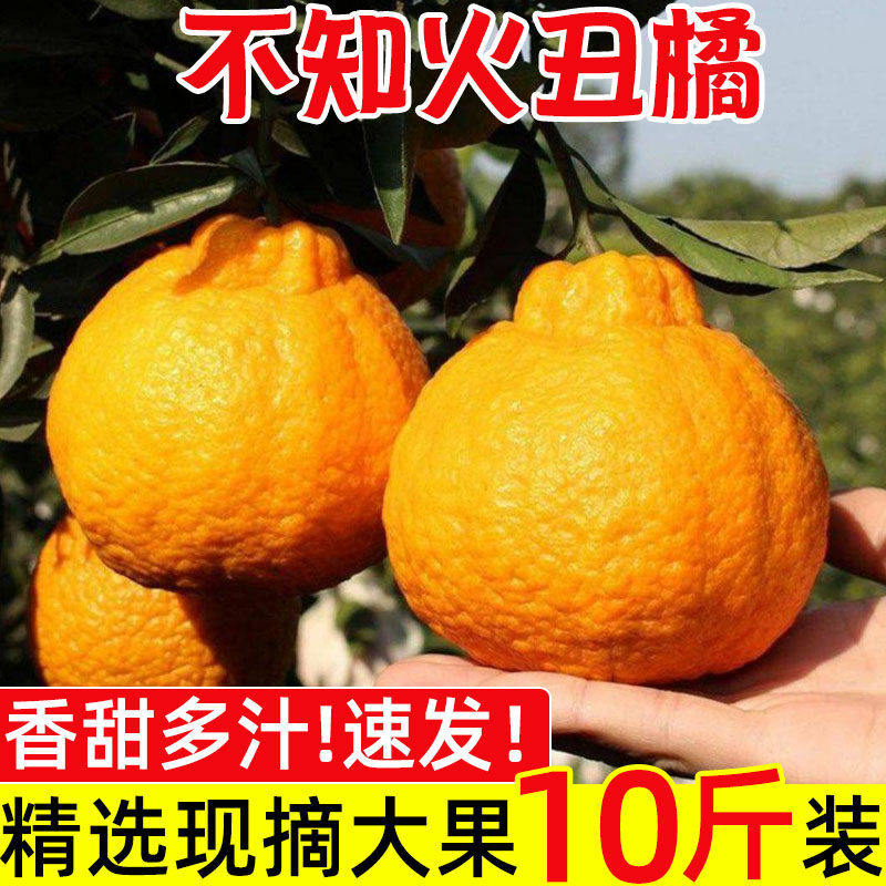 正宗丑橘不知火丑橘新鲜整箱水果当季粑粑丑八怪柑橘耙耙桔子