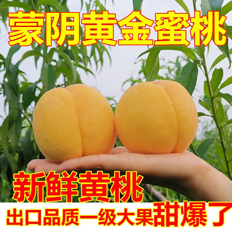 黄桃新鲜水果现货锦绣山