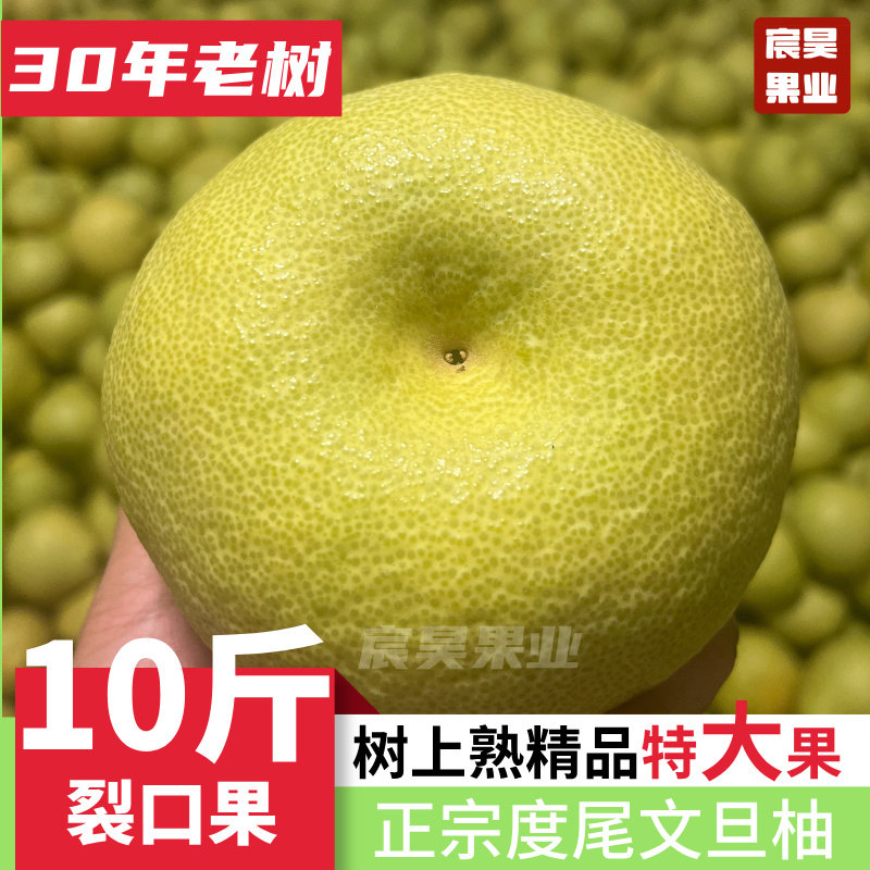 正宗福建老树度尾红心文旦柚子新鲜应季水果当季微裂口果10斤包邮