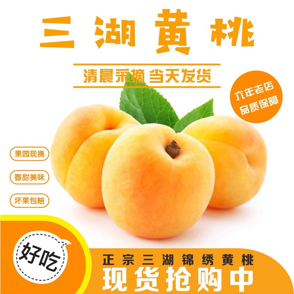 正宗湖北江陵荆楚三湖锦
