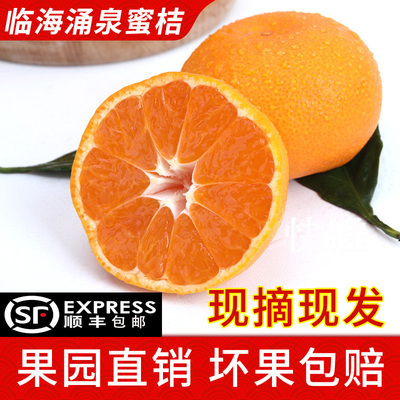 正宗临海涌泉蜜桔蜜橘子新鲜水果桔子浙江台州黄岩密桔现摘现发