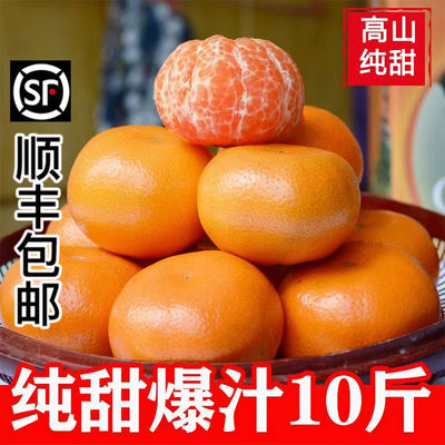 顺丰包邮正宗涌泉蜜桔新鲜水果无核橘子无打蜡桔子黄岩蜜桔清香