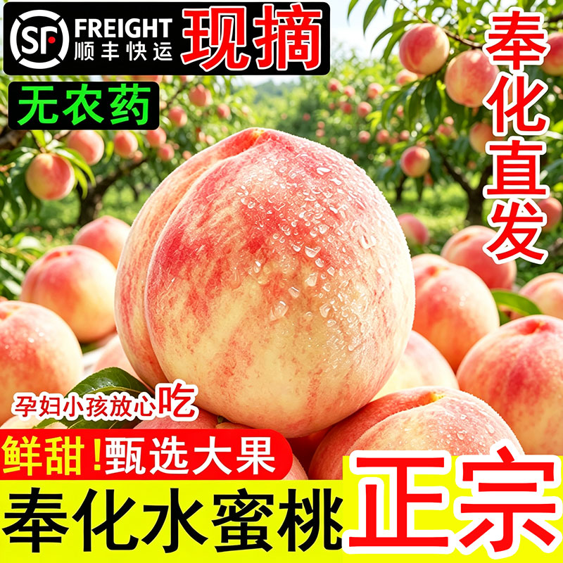 【官方授权】奉化水蜜桃