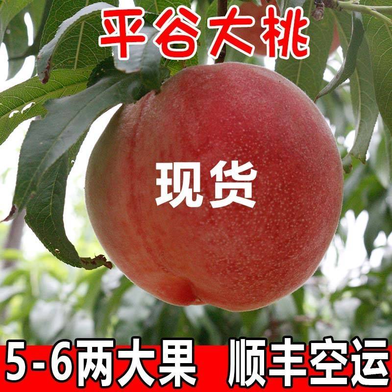 现货水蜜桃大桃子久保当