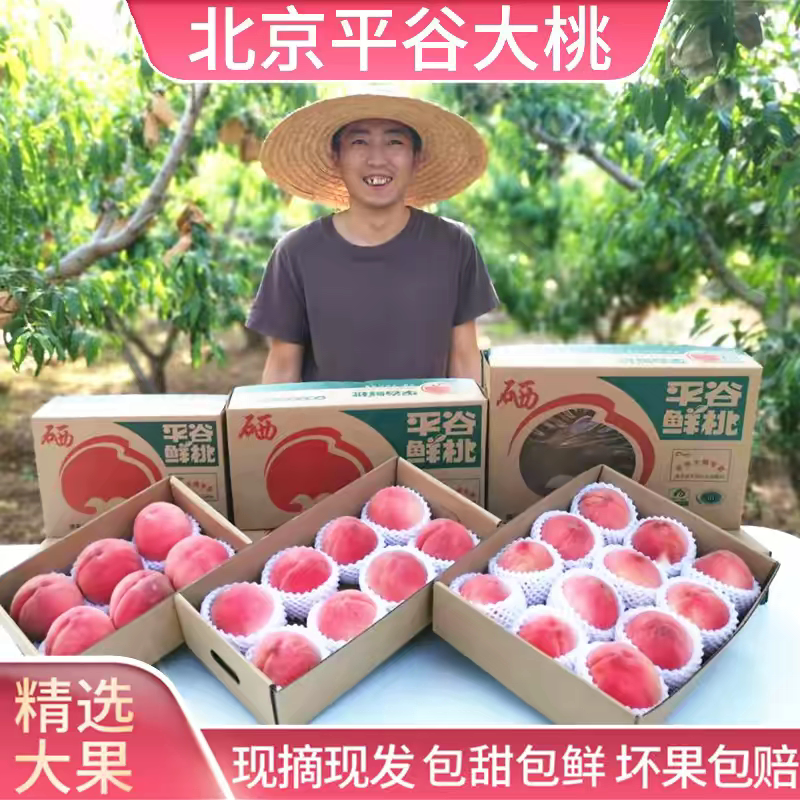 正宗平谷大桃北京水蜜桃