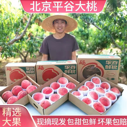 正宗平谷大桃北京水蜜桃
