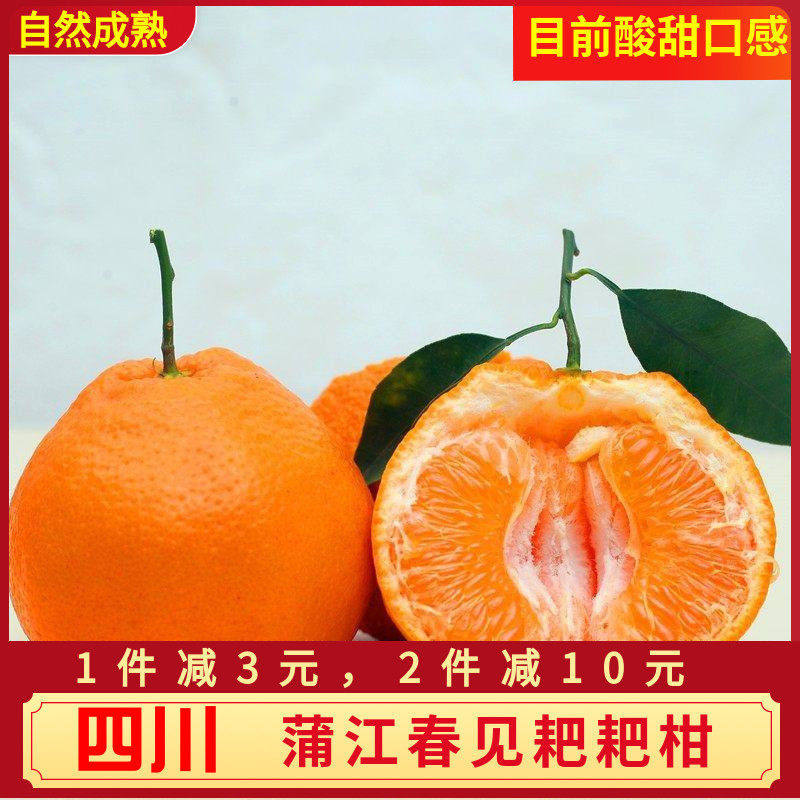 自然成熟四川爆浆春见耙耙柑新鲜水果蒲江杷粑柑浦江当季孕妇桔子