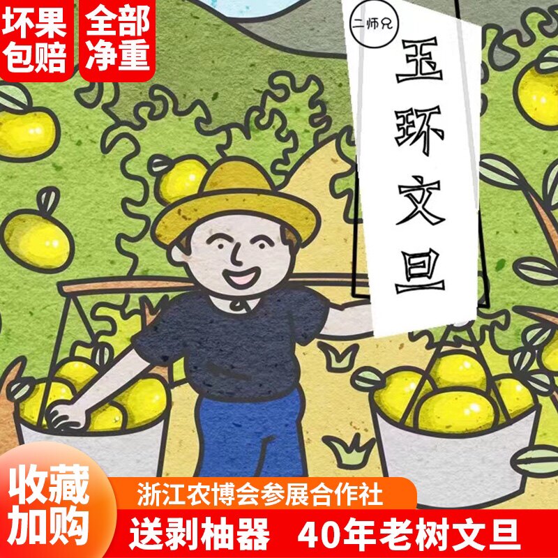 玉环文旦正宗台州楚门当季孕妇新鲜文旦玉环柚子文旦柚白蜜柚