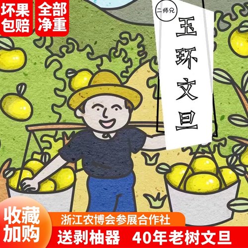 玉环文旦正宗台州楚门当季孕妇新鲜文旦玉环柚子文旦柚白蜜柚