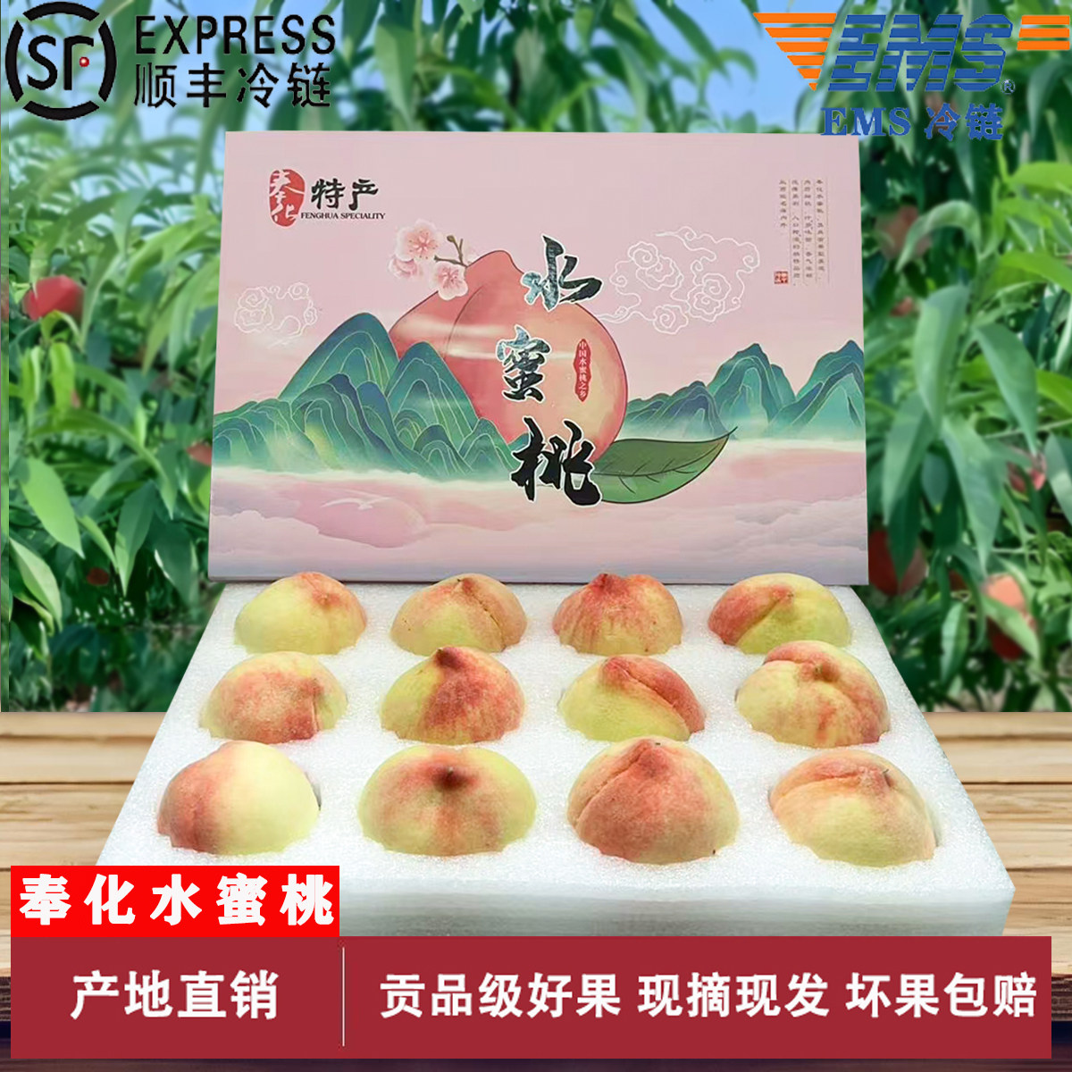 正宗奉化水蜜桃湖景玉露