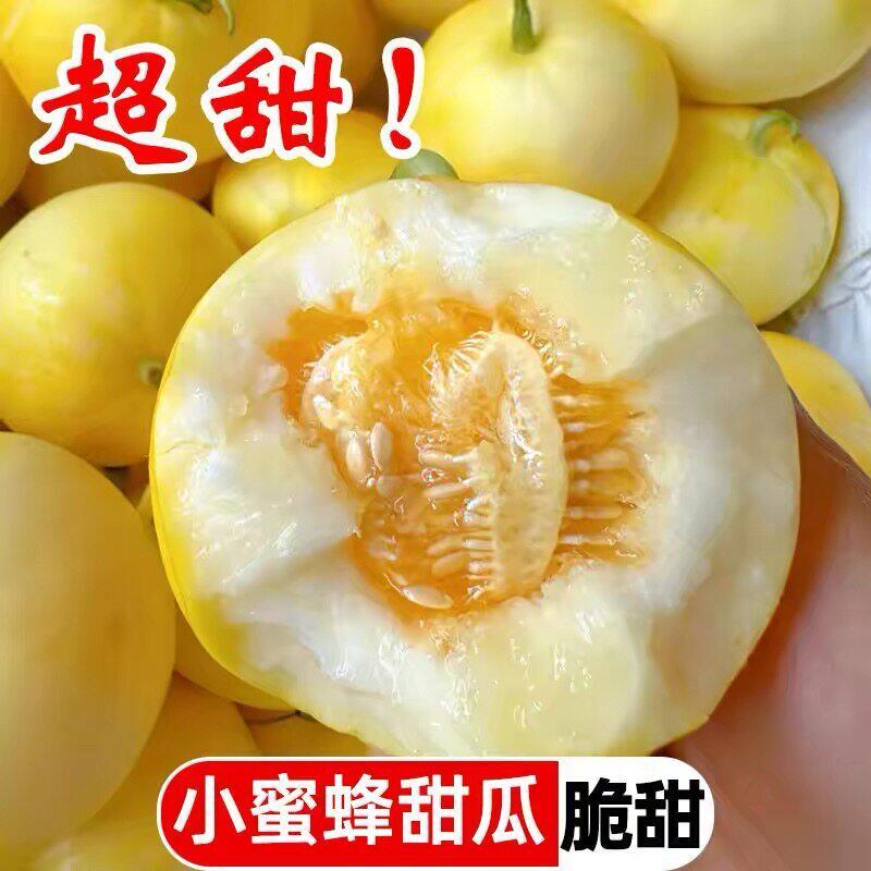 山东小蜜蜂甜瓜超甜香瓜小蜜罐现摘现发新鲜孕妇水果当季