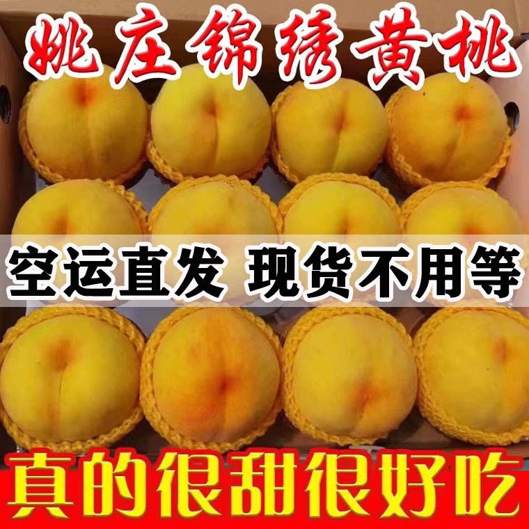 正宗嘉善姚庄锦绣黄桃子