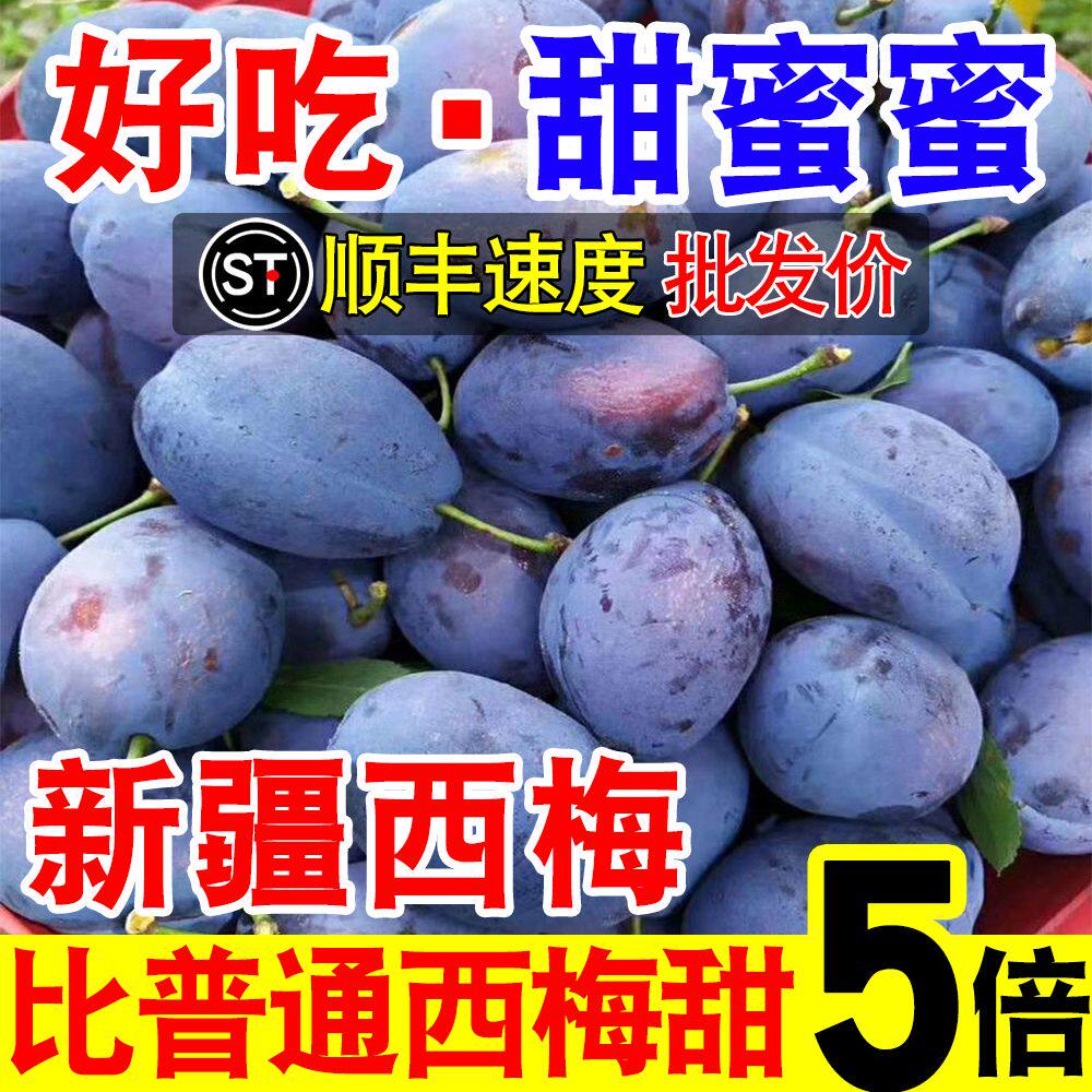 现货西梅新鲜5斤正宗喀什