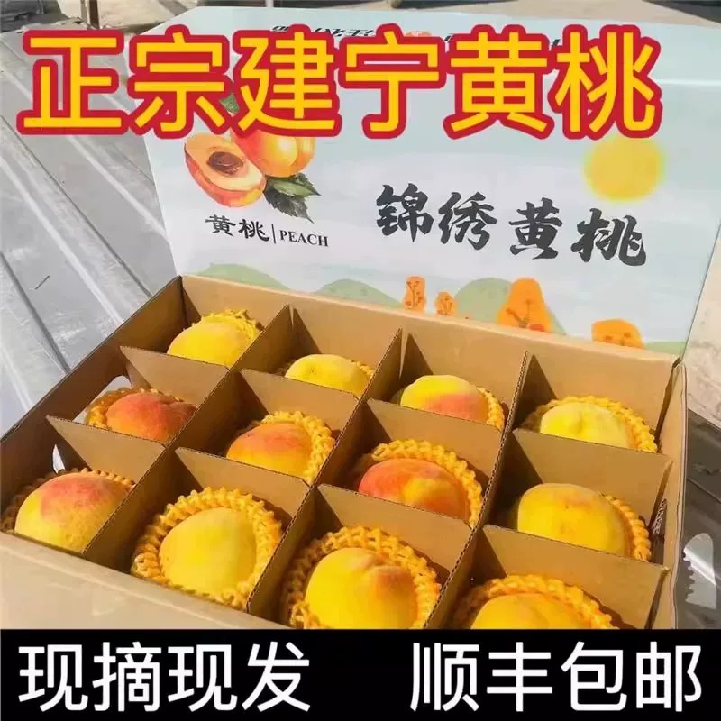 顺丰建宁锦绣黄桃新鲜水