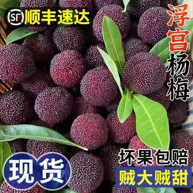 京德福仙居东魁新鲜冰杨梅荔枝大果冰冻泡酒整箱袋装批发顺丰包邮