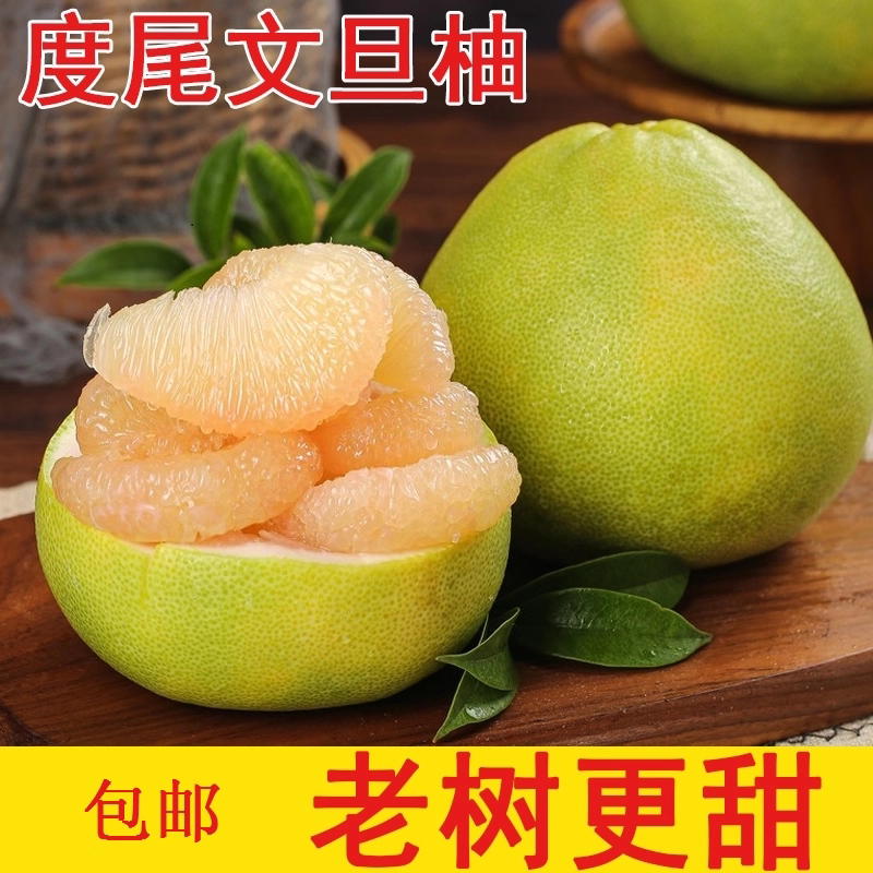 福建仙游度尾文旦柚清甜多汁孕妇当季新鲜水果现摘现发红心蜜柚子