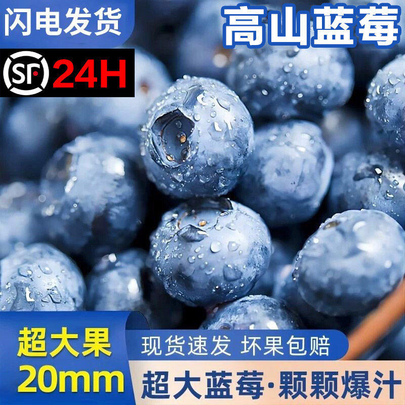 现货高山蓝莓鲜果新鲜高端水果当季蓝梅孕妇辅食整箱包邮顺丰野果