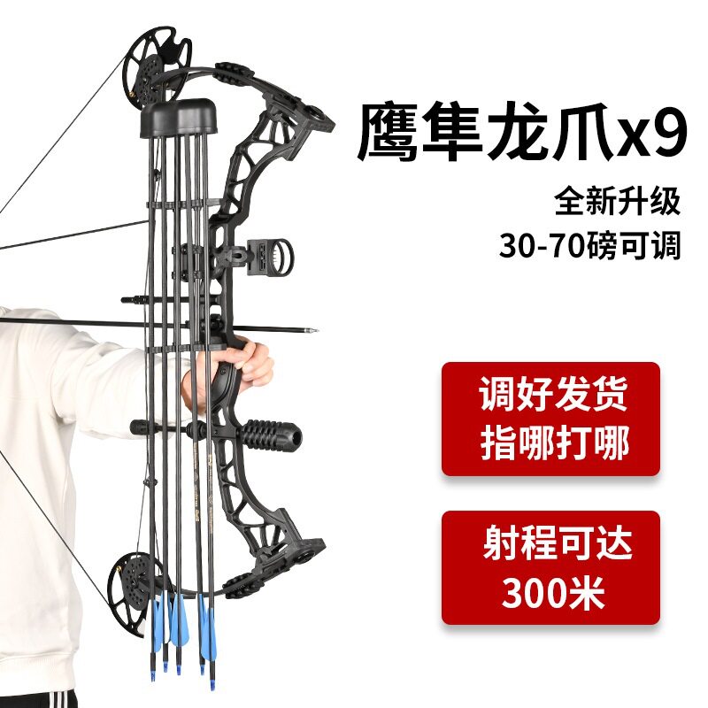 复合滑轮弓箭户外弓箭射击可射箭渔猎器材箭馆竞技配件