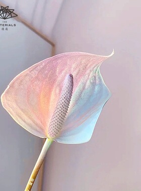 亿通鲜花喷色剂060341