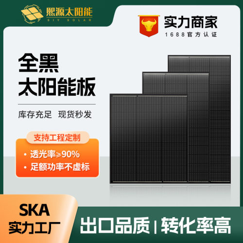 全黑100W单晶硅光伏板