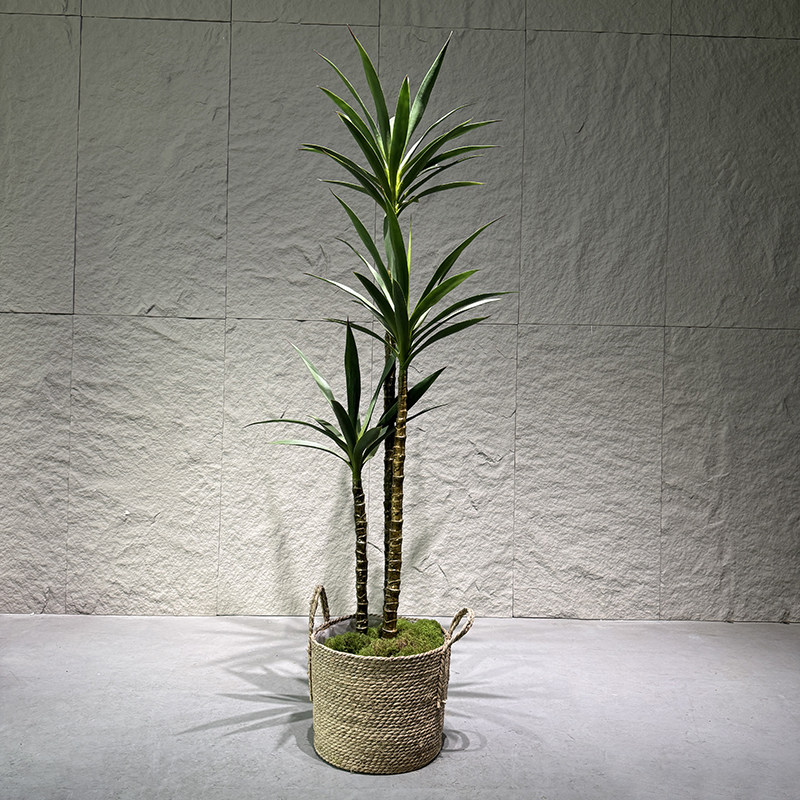 高级感逼真仿真绿植剑麻盆栽龙血树盆景室内客厅装饰假植物摆件