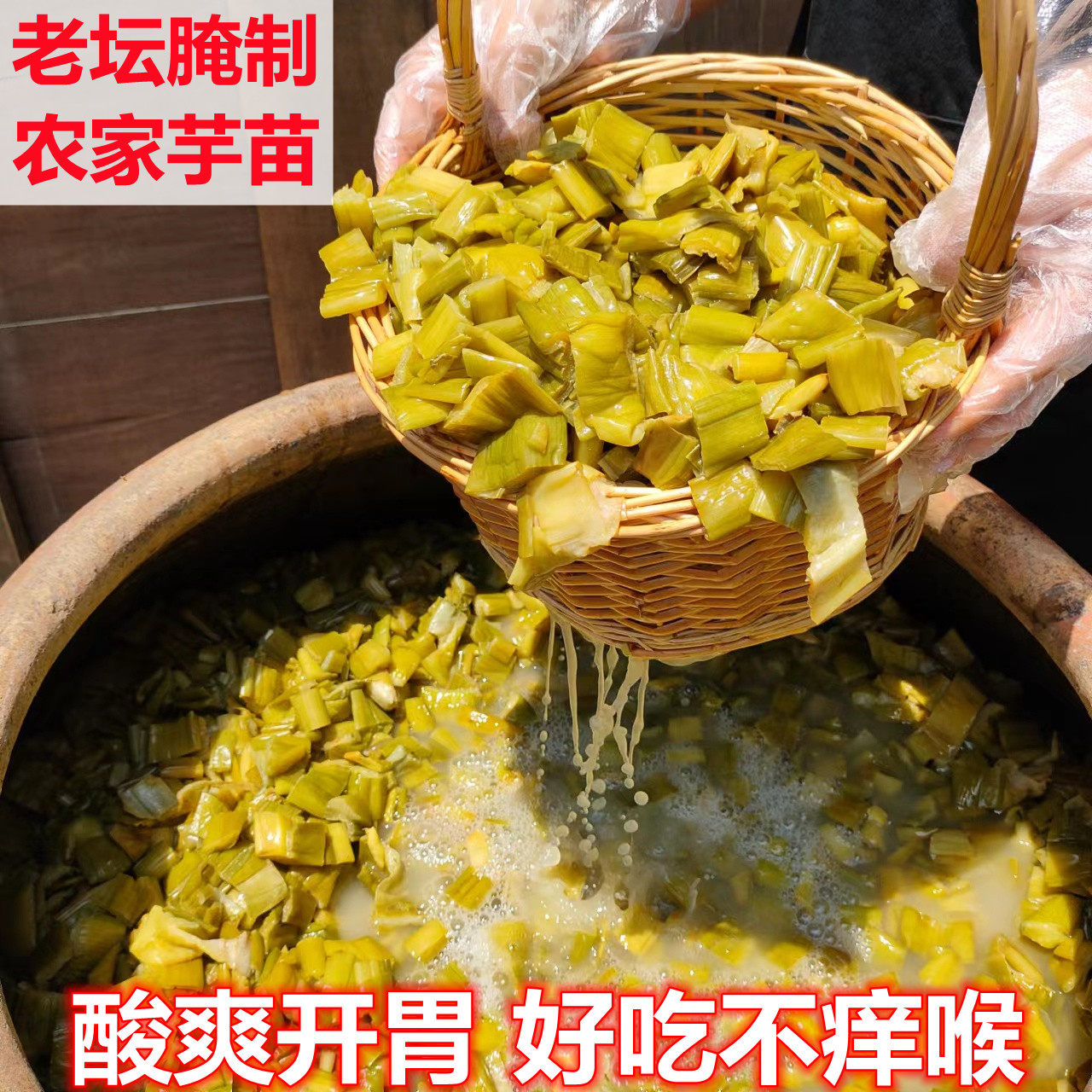 酸芋苗新鲜芋苗干梗腌制蔬菜广东农家自制芋苗酸辣芋杆下饭菜泡菜