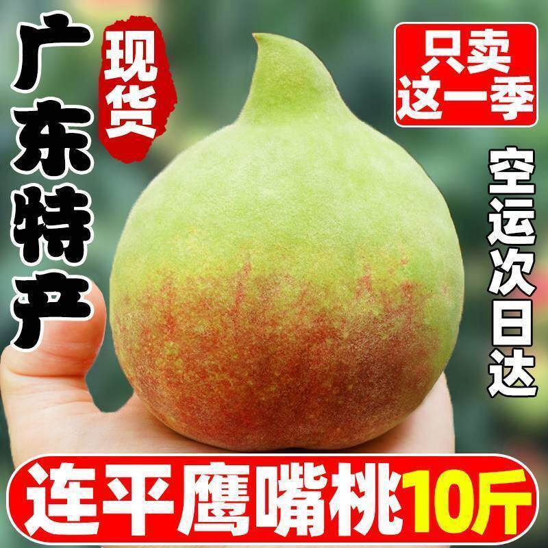 广东河源连平鹰嘴桃10斤
