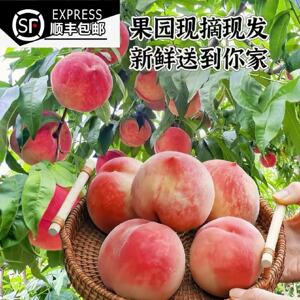 正宗头茬水蜜桃农家时令