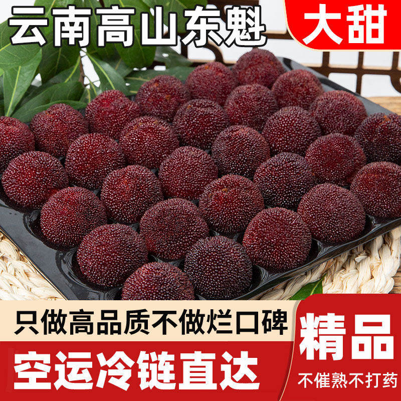 【空运】正宗云南石屏东魁杨梅特级高山新鲜孕妇水果礼盒装甜