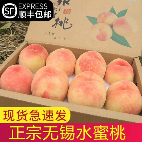 正宗无锡阳山水蜜桃王纯