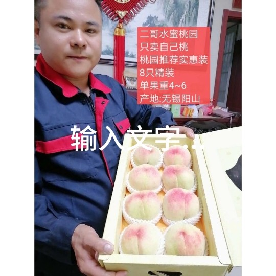 正宗无锡阳山水蜜桃现摘