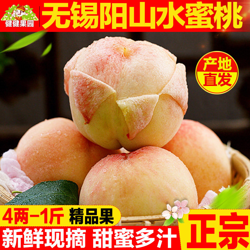 正宗无锡阳山水蜜桃新鲜