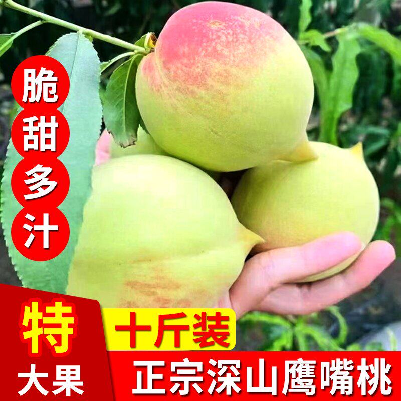 正宗高山鹰嘴桃新鲜当季