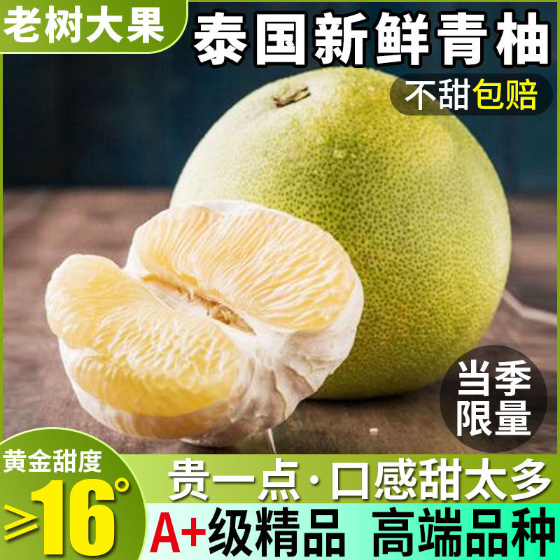 正宗泰国进口青柚大果新