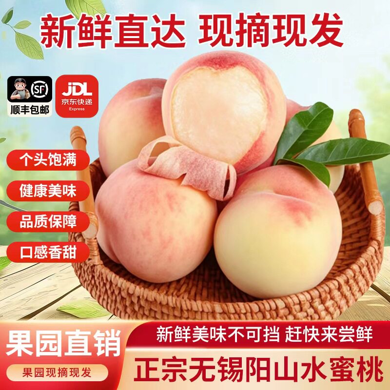 正宗无锡阳山水蜜桃新鲜