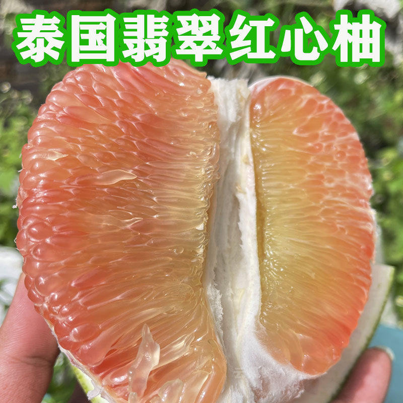 正宗泰国金柚青皮翡翠红