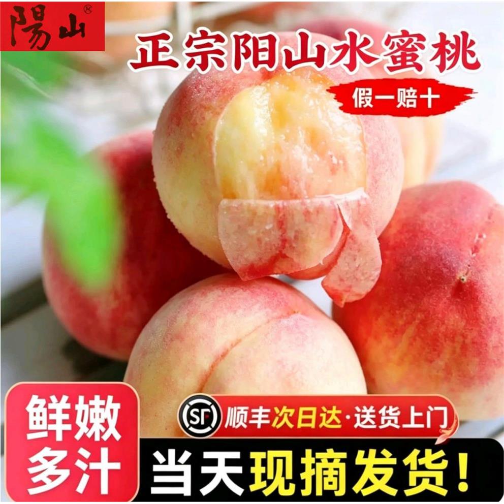 正宗江苏无锡阳山水蜜桃